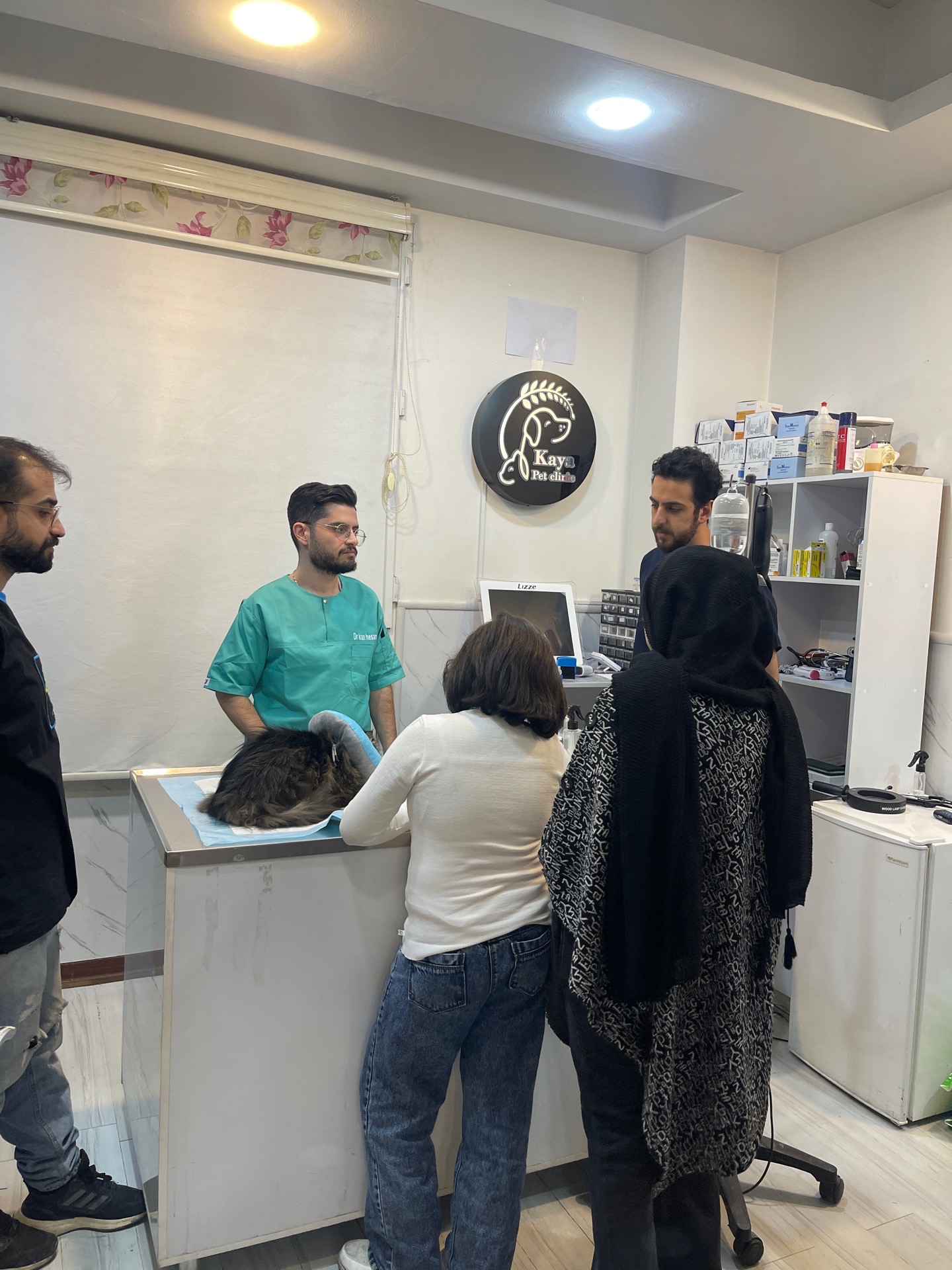 هزینه عقیم سازی سگ و گربه غرب تهران